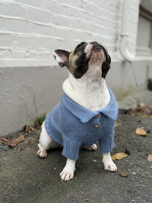 Polo Sweater - English