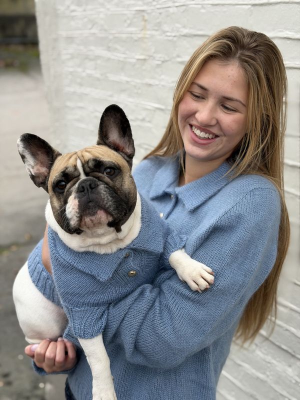 Polo Sweater