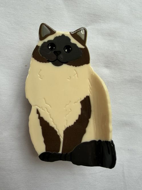 Hovedbilde Katt #18